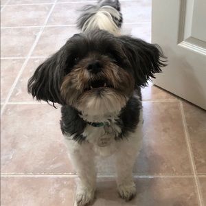 Meet your Posher, Courtney